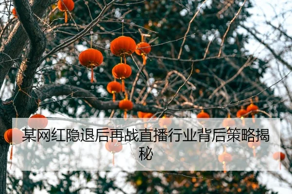 mou-wang-hong-yin-tui-hou-zai-zhan-zhi-bo-hang-ye-bei-hou-ce-lve-jie-mi-2-486.jpg